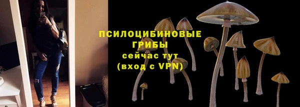 эйфоретик Алзамай