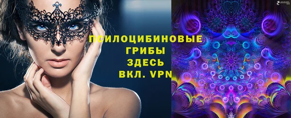 эйфоретик Алзамай