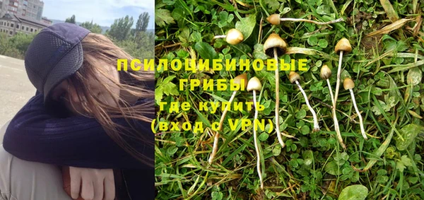 МДПВ Алексеевка