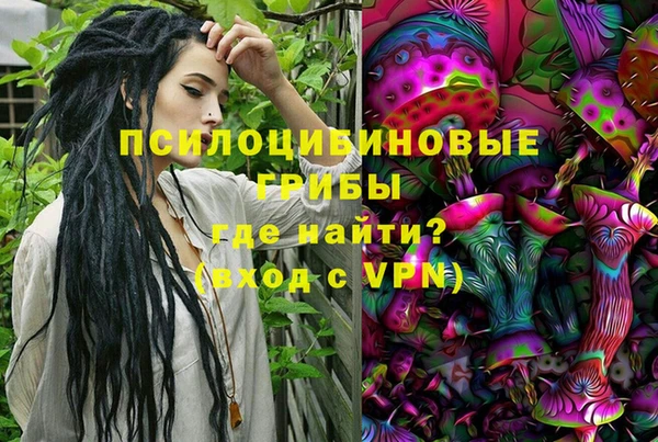 эйфоретик Алзамай