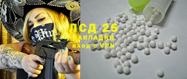 эйфоретик Алзамай