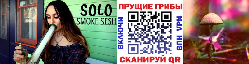 наркота  Алексеевка  Псилоцибиновые грибы MAGIC MUSHROOMS 